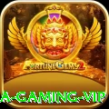 669a - Gaming VIP