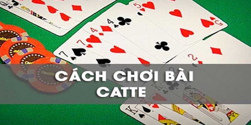 Kinh nghiệm khi tham gia chơi bài catte luôn thắng